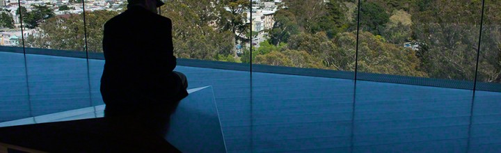 De Young Fine Arts Museum Visitor