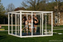 Effervescent Collective Dancers in Box