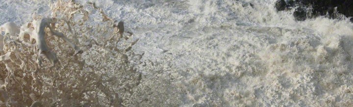 Foamed Wave Oregon Coast