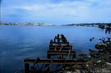 Pilings in Harbor