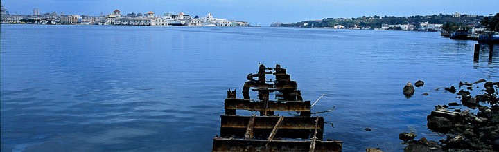 Pilings in Harbor