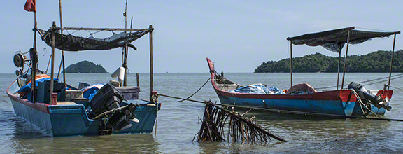 Fishing Boats
