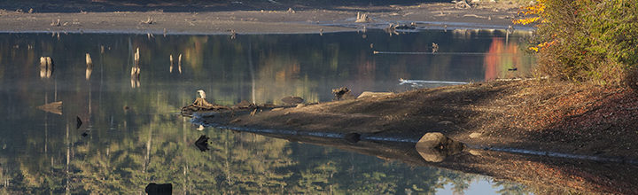 Heron Meditation