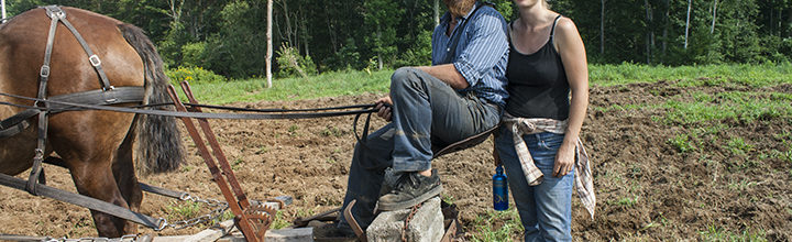 Horse Drawn Plough
