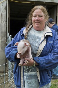 Prime Pig                           