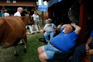 County Fair                                