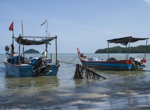 Fishing boats             