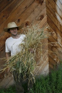 Going with the grain  