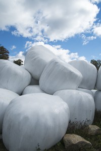 Wrapped Round Hay Bales                        