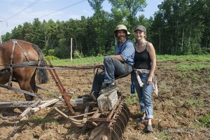 Horse Drawn Plow                                    