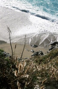 nature  